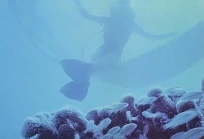 
A diver rests on a mineral-encrusted wire screen.
